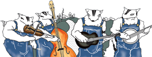 Albino Skunk Music Festival
