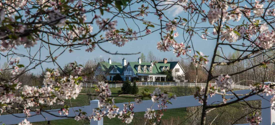 beautiful bed and breakfast pictured through trees