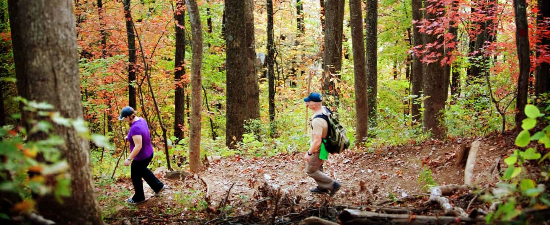 People hiking the fall foliage trails
