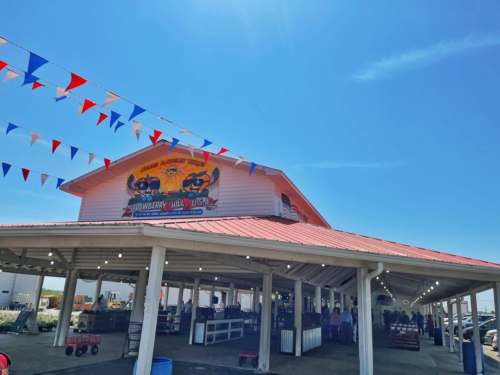 Strawberry Hill USA Upcountry South Carolina