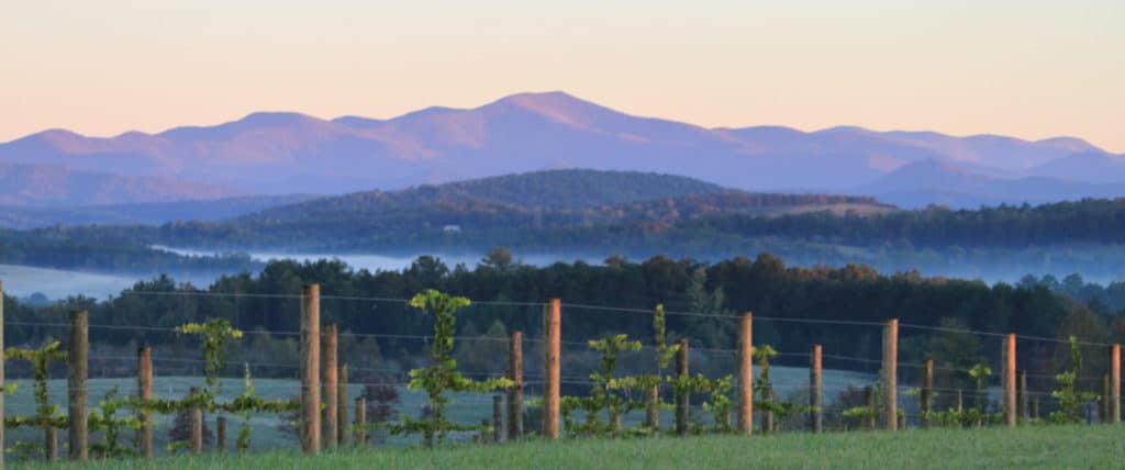 The view from Chattooga Belle Farm