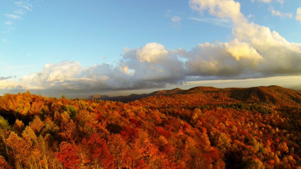 fall foliage view from Sassafras Mountain