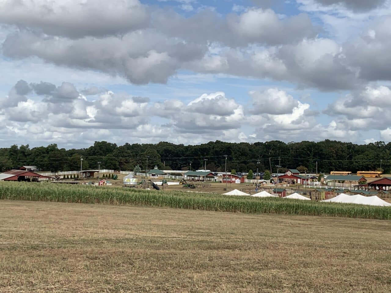 Denver Downs Farm, Family Fun